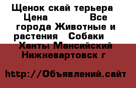 Щенок скай терьера › Цена ­ 20 000 - Все города Животные и растения » Собаки   . Ханты-Мансийский,Нижневартовск г.